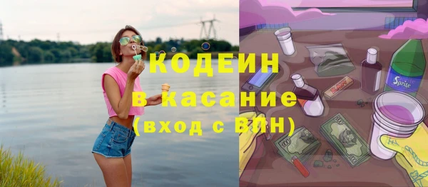 шишки Каменногорск