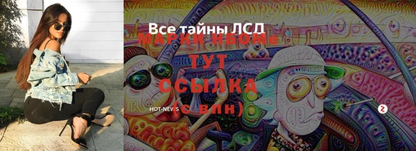 шишки Каменногорск