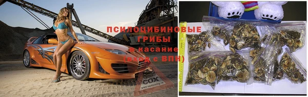 кокс Иннополис